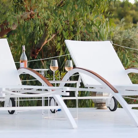 Aglaia, A Treasure In Paradise