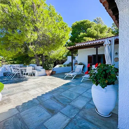 Aglaia, A Treasure In Paradise
