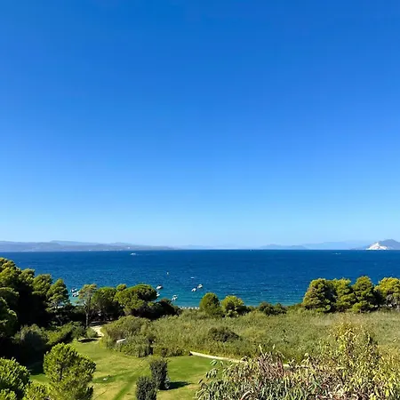 Aglaia, A Treasure In Paradise *