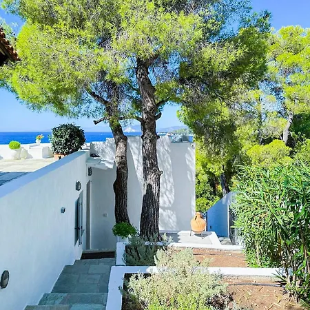 Aglaia, A Treasure In Paradise *